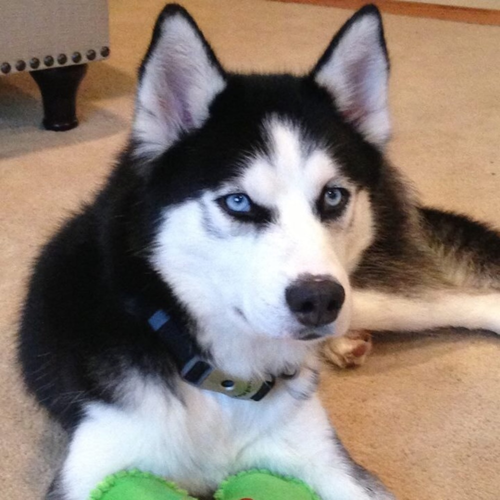 Meet your Posher, Marisa